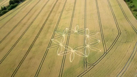 Crop Circle In Scenic Field In Warminster, England, UK - aerial drone shot Stock Footage 246728528