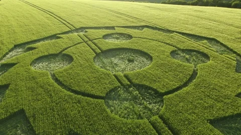 Crop Circle Stunning Drone Clip, 22 May 2022, Hippenscombe, Wiltshire, 4K Stock Footage 200898955