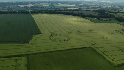Crop Circle In Sunflower Pattern On Lush Green Field In Potterne, Stock Footage 249716396