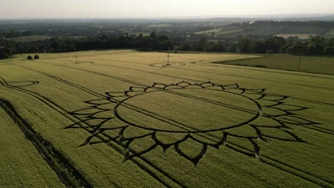 Crop Circle Sunset Gliding L to R Drone Clip, 7 June 2023, Potterne Wiltshire 4K Stock Footage 243242546