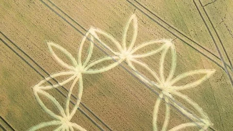Crop Circle In Wheat Field In Warminster, England, UK - aerial drone shot Stock Footage 246728691