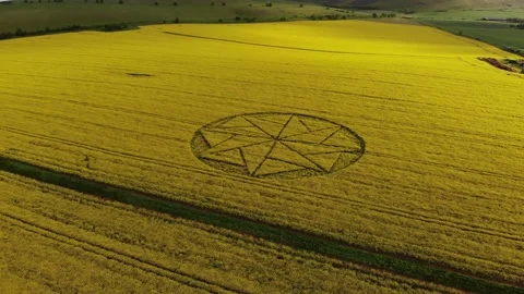 Crop Circle in Yellow field 4K  Drone Flyover, 10 May 2021, 4K Stock Footage 155564461