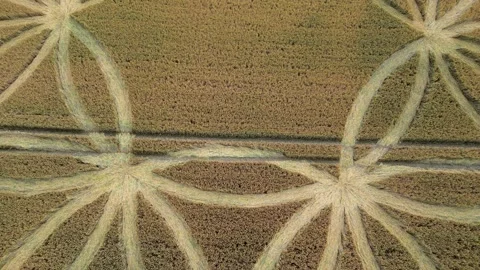 Crop Circles On A Farm Field In Warminster, England, UK - aerial drone shot Stock Footage 246728532