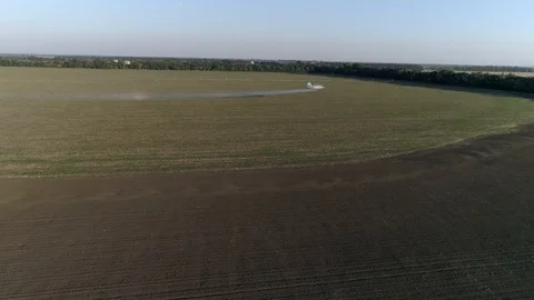 Crop Duster flies over field with wheat and splashing chemicals against parasite Stock Footage 96250699