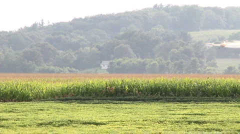 Crop duster  Video stock 1060588