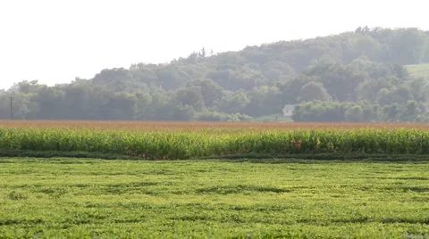Crop duster laying down herbicide Stock Footage 1060284