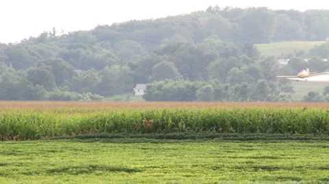 Crop duster laying down herbicide Stock Footage