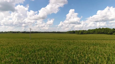 Crop duster plane flys to spray pesticide Vídeos de archivo 137619864