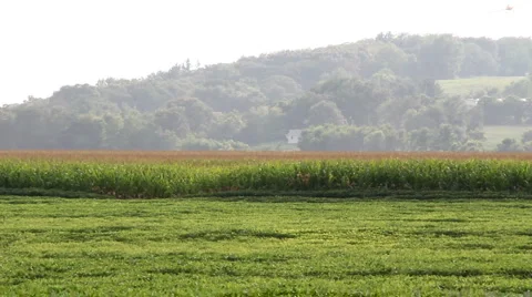 Crop duster working field Stock Footage 1060226