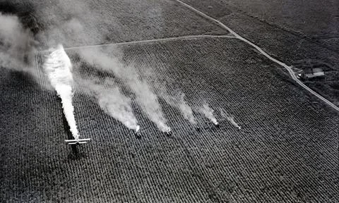 Crop Dusting, 1924 Foto stock