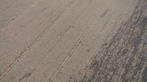 Crop in field cu-Progressive Video stock 30480560