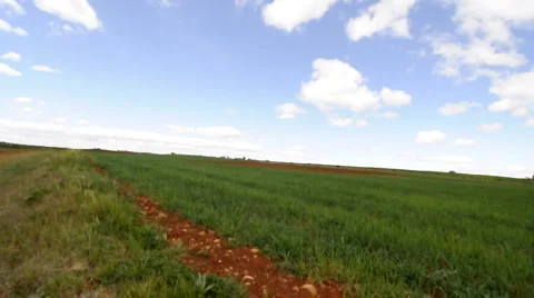 Crop field, environment concept Stock Footage 885429