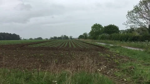 Crop field Stock-Footage 194535173