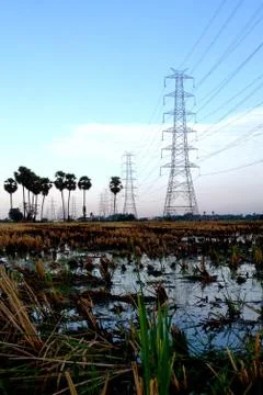 Crop field Stock Photos