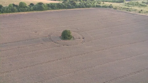 Crop in field ws-Progressive Stock Footage 30480577