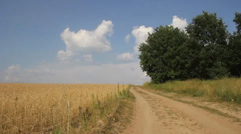 Crop Fields and dirt road in a hot summer day Video stock 38600516