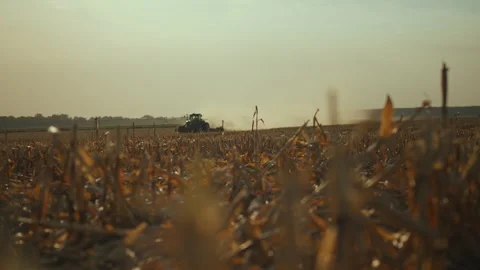 Crop fields being harvested at sunset with tractor in action 스톡 동영상 293716408
