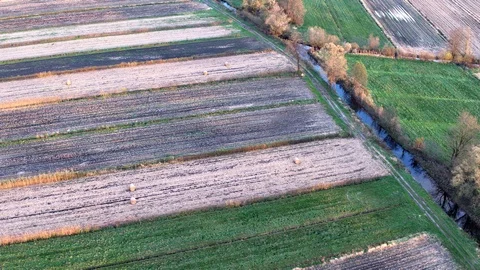 Crop fields with different colours Stock Footage 98455377