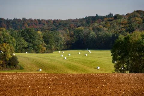 The crop in the fields is harvested Stock Photos