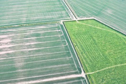 Crop fields Stock Photos