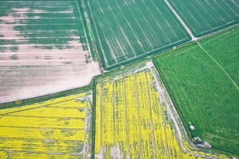 Crop fields Stock Photos