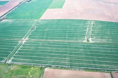 Crop fields Stock Photos