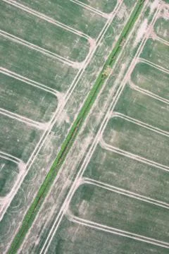 Crop fields Stock Photos