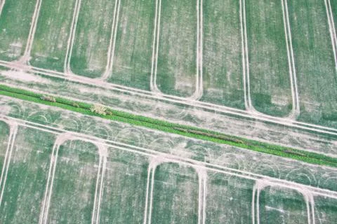 Crop fields Stock Photos