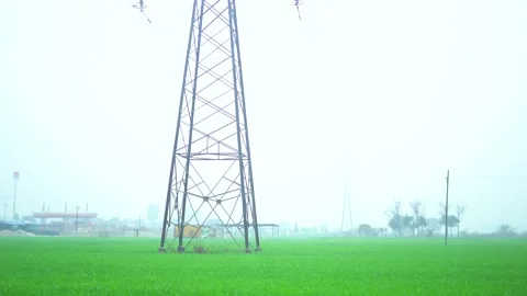 Crop fields right to left  wide view from car window pov Punjab green Stock Footage 234442710