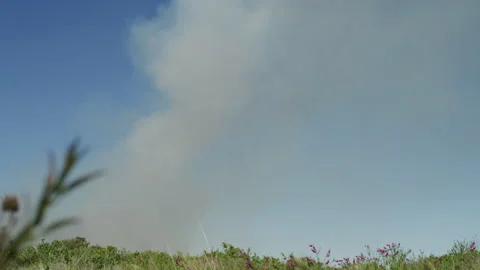 Crop Fire Smoke Stock Footage 164243574