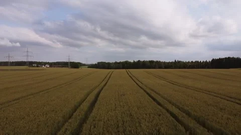 Crop flight Stock Footage 277846902