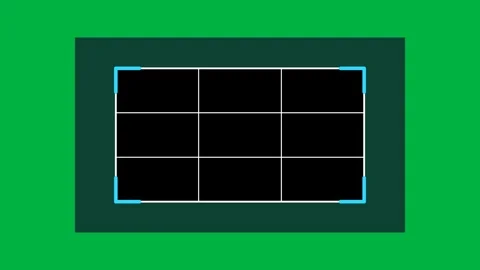 Crop Frame Handles Resizing Around Image on Green Screen Stock Footage 342096314