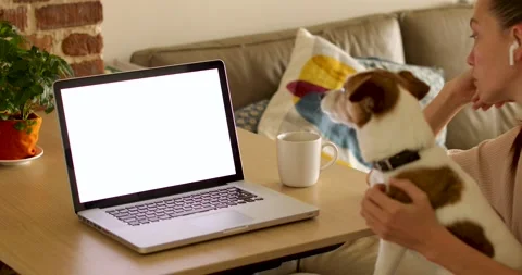 Crop freelancer with dog using laptop Vídeos de archivo 140974854