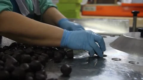 Crop hands putting sweets into wrapping machine. Hands of unrecognizable female Stock Footage 148349106
