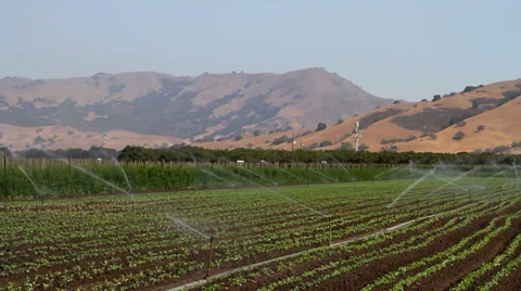 Crop Irrigation Stock-Footage 39120431