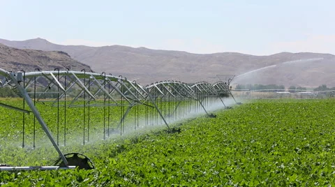 Crop Irrigation Pivot System Stock Footage 55373421