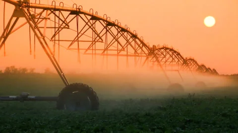 Crop Irrigation at Sunset - Agriculture Sprinklers Stock Footage