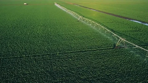Crop irrigation system in the field Stock Footage 112818015