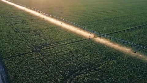 Crop irrigation system in the field Stock Footage 112818092