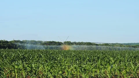 Crop irrigation using the center pivot sprinkler system Stock Footage 112393081