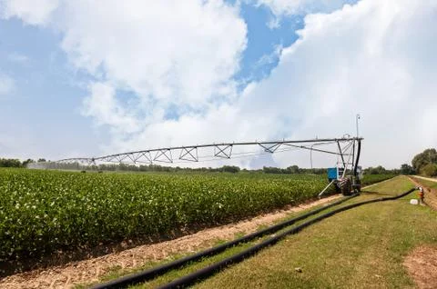 Crop Irrigation using the center pivot sprinkler system Stock Photos