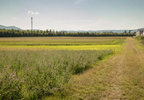Crop land landscape Stock Photos