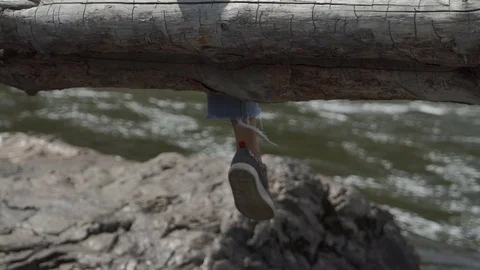 Crop legs on tree trunk Видео 77349038