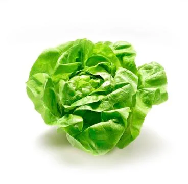 Crop of lettuce on a white background Stock Photos