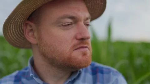 Crop man in straw hat looking away dreamily on Stock Footage 251895619