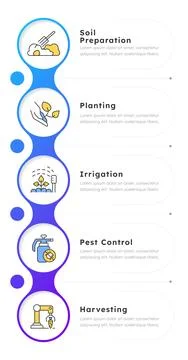 Crop management cycle blue gradient infographic 5 steps. 스톡 일러스트