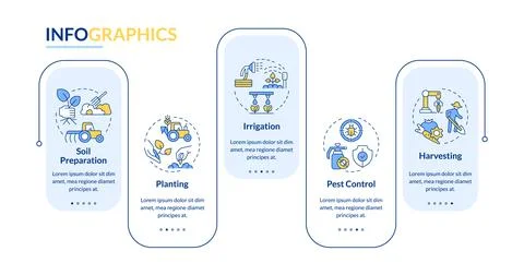 Crop management cycle rectangle infographic vector Stock Illustration