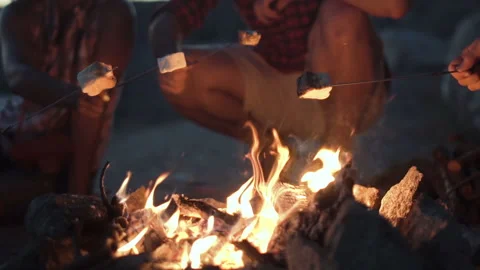 Crop people grilling marshmallows in fire Stock Footage 100554048