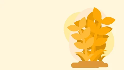 Crop Plant Stock Footage 335667323