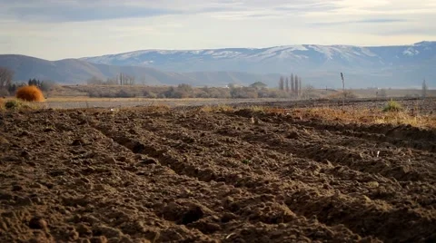 Crop Rows and a Scenic Mountain View Stock Footage 41504716